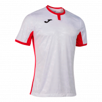 Волейбольная футболка мужская Joma TOLETUM II Белый/Красный